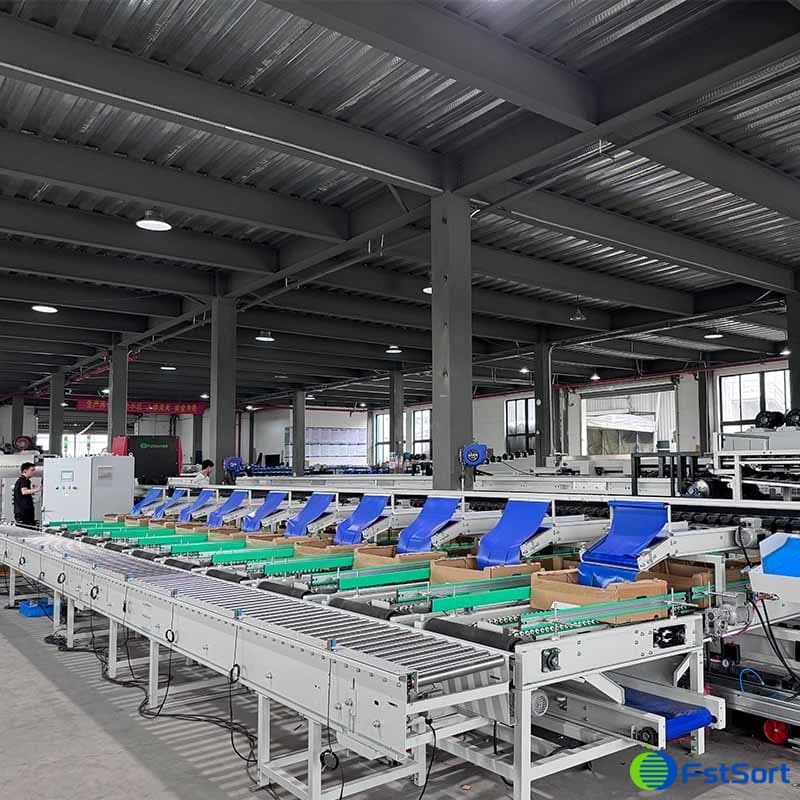tomato color sorting packing line.jpg tomato color sorting packing line.jpg